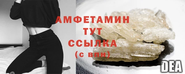 прущие грибы Пролетарск