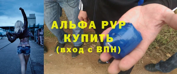 прущие грибы Пролетарск